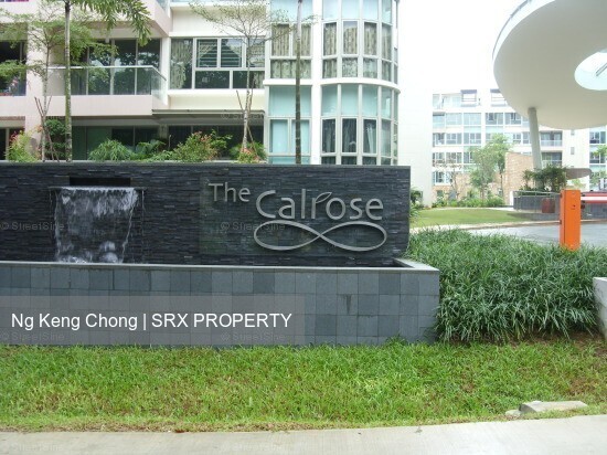 The Calrose (D26), Condominium #508345081
